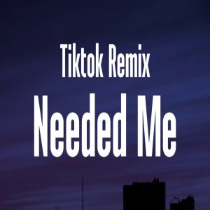 dj Tik Toker的專輯Needed Me Tik Tok Remix