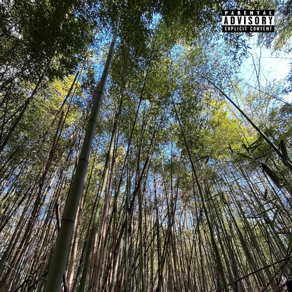 Ride wit me (feat. Z5) (Explicit)