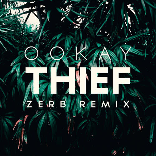 Thief (Zerb Remix)