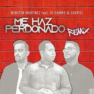 Album Me has perdonado (feat. Dj Sammy) [Gavriel Remix] from 