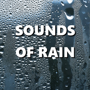 Dengarkan Flawless Storm Rain Shower Sounds lagu dari Deep Sleep dengan lirik
