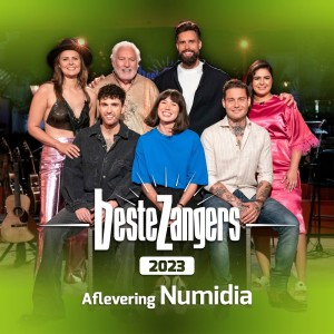 Listen to You Got It song with lyrics from Beste Zangers
