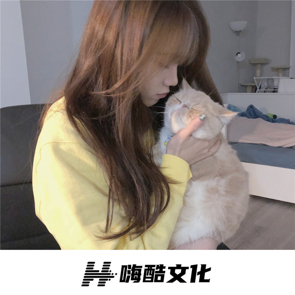 清风吹来时 (DJ版)