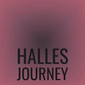 收听Chane Zace的Halles Journey歌词歌曲
