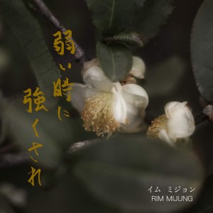 Listen to 弱い時に強くされ song with lyrics from 임미정