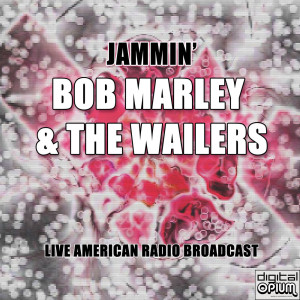 收聽Bob Marley & The Wailers的Roots Rock Reggae (Live)歌詞歌曲
