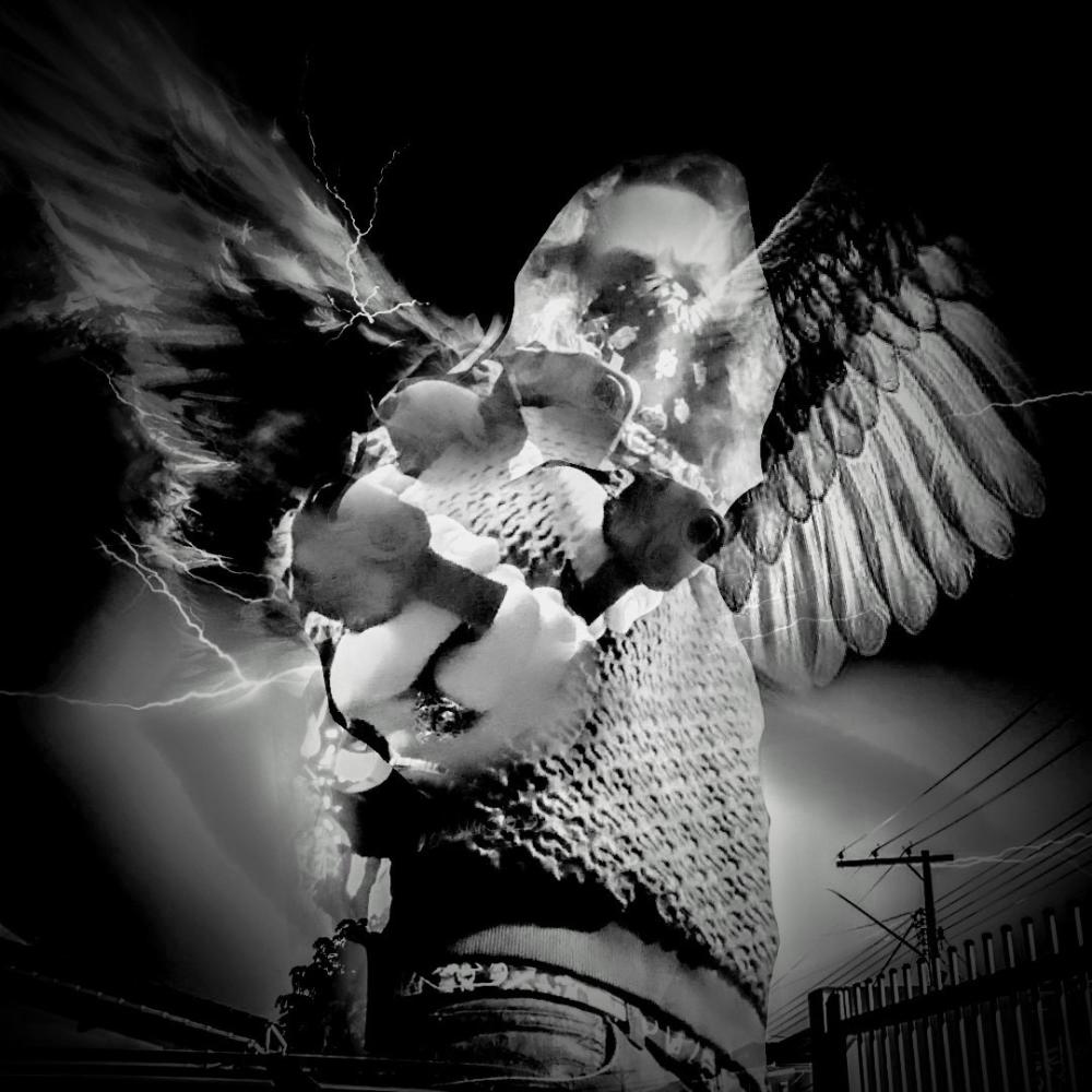Phoney Bolagnaee (feat. CuttyCarlo) (Explicit)