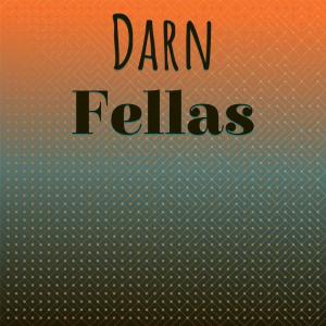 Various Artists的專輯Darn Fellas