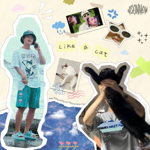 Album Like a cat from Jeon Hyun Jae