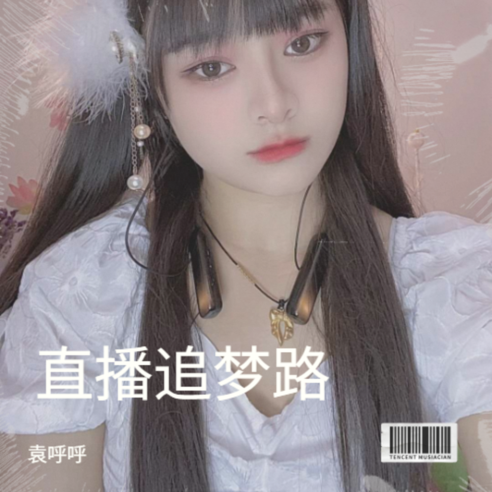 直播追梦路 (完整版)