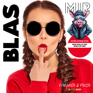 Fangsi的專輯Blas mir (Playa Mix Edition)