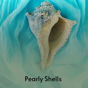 收听Burl Ives的Pearly Shells歌词歌曲