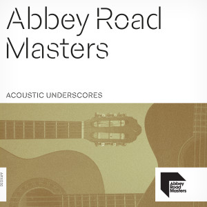 อัลบัม Abbey Road Masters: Acoustic Underscores ศิลปิน Richard J. Birkin