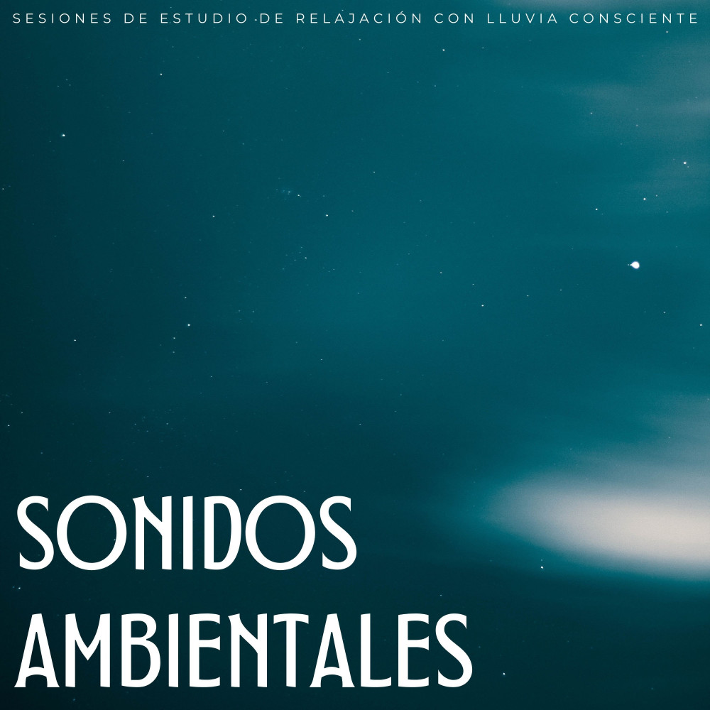 Melodías Lluviosas Para Un Estudio Enfocado