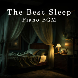 Dream House的專輯The Best Sleep Piano BGM