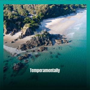 Listen to Temperamentally song with lyrics from Cian Rara