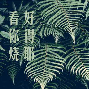 Listen to Kan Hao Ni De Shao Ye song with lyrics from 张酷