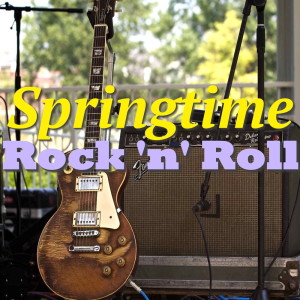 Dengarkan Rock And Roll lagu dari Wildlife dengan lirik