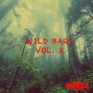 Listen to Wild Bars, Vol. 3 (Explicit) song with lyrics from Kion Studio