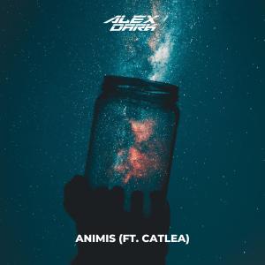 default album img