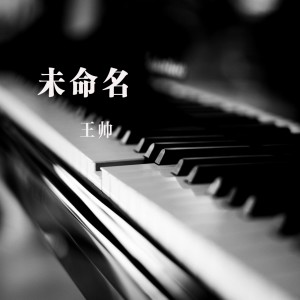 收听王帅的未命名歌词歌曲