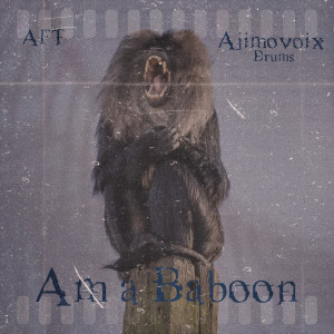 Listen to AM A BABOON song with lyrics from Ajimovoix Drums