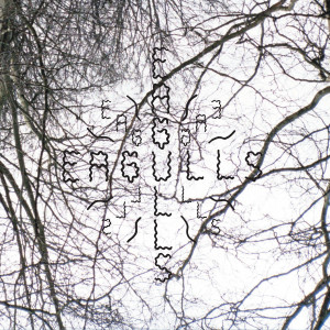 Album Nerve Endings oleh Eagulls