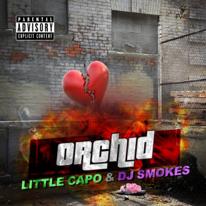 Listen to Orchid (Explicit) song with lyrics from Little capo