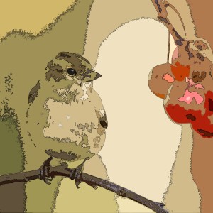 default album img