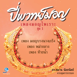 ดาวน์โหลดและฟังเพลง เพลง เงี้ยวระเริง พร้อมเนื้อเพลงจาก ส.ต.ท. วัชรพงศ์ กาญจนวรุตม์