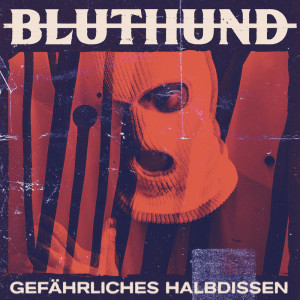 Listen to Die Stimme der Kaputten (Explicit) song with lyrics from Bluthund