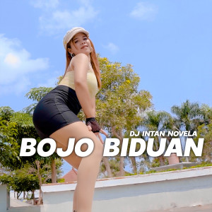 Dengarkan Bojo Biduan lagu dari DJ Intan Novela dengan lirik