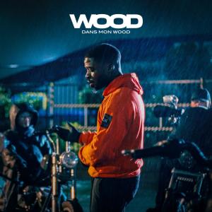 收聽Wood的Les anges (Explicit)歌詞歌曲
