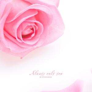 Listen to Always you alone song with lyrics from Wanderer
