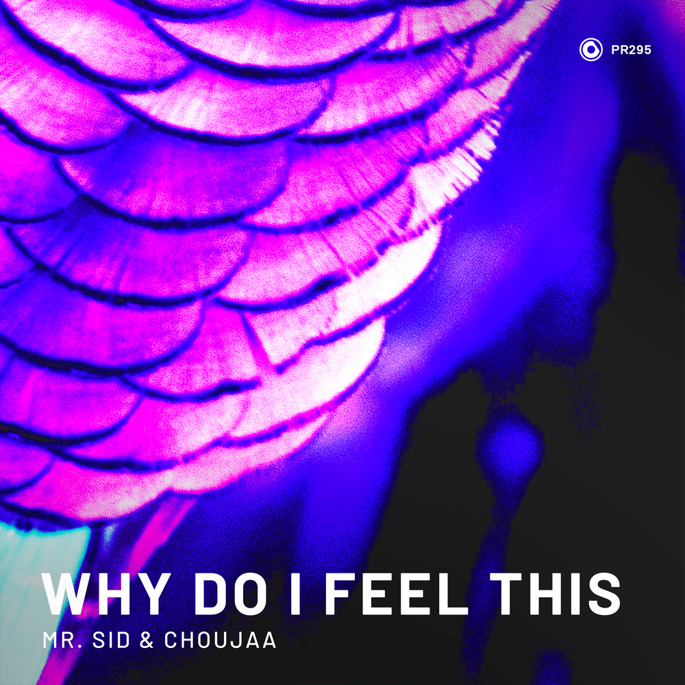 Why Do I Feel This (Extended Mix)