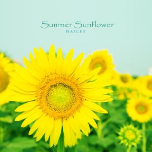 Dengarkan lagu Summer Sunflower nyanyian Hailey dengan lirik
