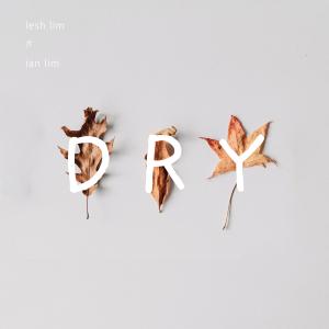 Dengarkan lagu DRY nyanyian Lesh Lim dengan lirik