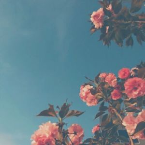 收聽Michael Saulnier的Blue歌詞歌曲