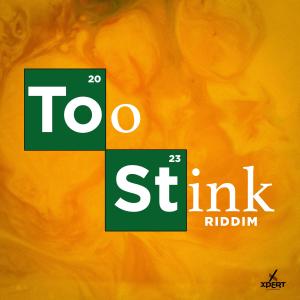 อัลบัม Too Stink Riddim ศิลปิน Various Artists