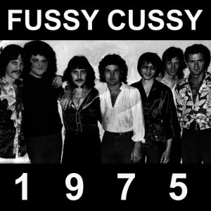 ดาวน์โหลดและฟังเพลง For You Babe พร้อมเนื้อเพลงจาก Fussy Cussy