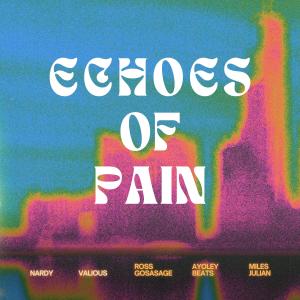 收聽Nardy的Echoes of Pain (feat. Valious) (Explicit)歌詞歌曲
