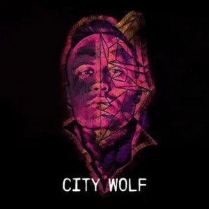 Listen to Made For This song with lyrics from City Wolf