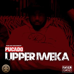 Pucado的專輯Upper Iweka