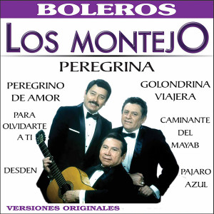 Los Montejo的專輯Peregrina