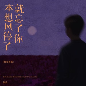 Album 本想风停了就忘了你（烟嗓男版） from 张良