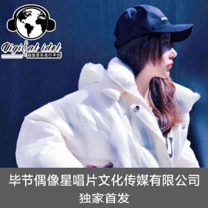 Album 潮流街拍 (DJ版) oleh 叶枫