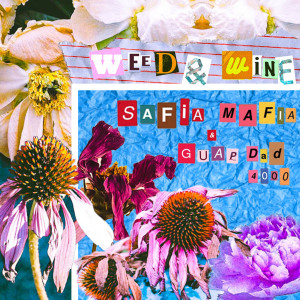 ดาวน์โหลดและฟังเพลง Weed & Wine (Explicit) พร้อมเนื้อเพลงจาก Guapdad 4000