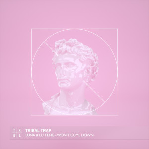 Album Won't Come Down from Luna