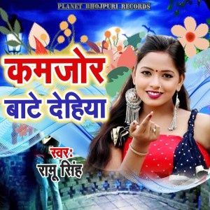 Listen to Kamajor Bate Dehiya song with lyrics from Ramu Singh