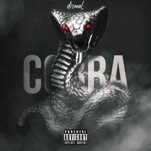 Listen to Cobra (prod. artneverdie) (Explicit) (prod. artneverdie|Explicit) song with lyrics from Dismal